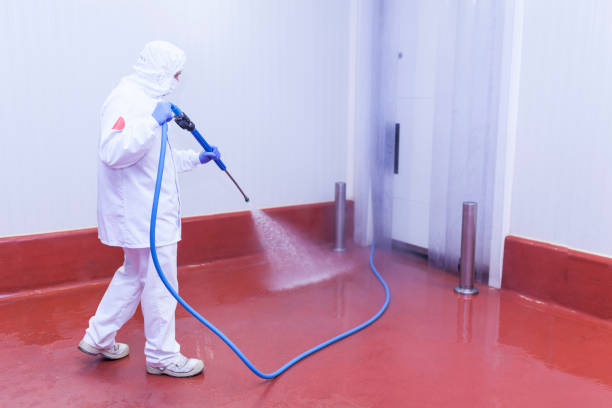 Best Machinery and Equipment Cleaning  in Petersburg, WV